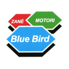 Guarnizione Cilindro Blue Bird K24, K28, K30, M27, P270 e P330