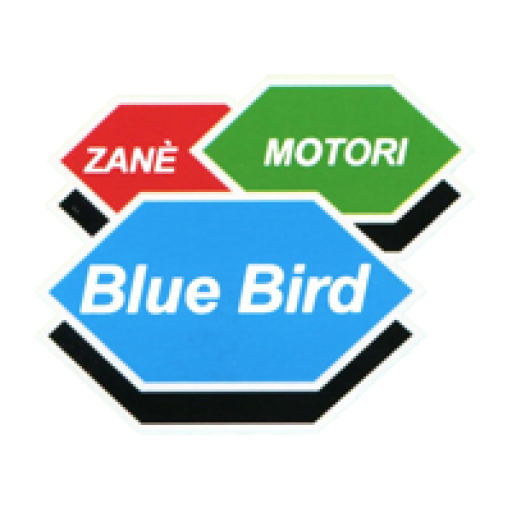Guarnizione Cilindro Blue Bird M41, M47, P410, P470 e P540