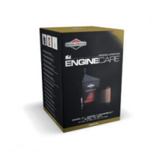 Engine Care, modello 21, serie 3 POWERBUILT, INTEK I/C OHV 21R5, 21R6, 21R7, 21R8