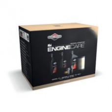 Engine Care, modello 31, serie 4 INTEK I/C OHV 31R7, 31R8, 31R9