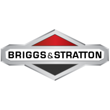 Biella Motori Briggs & Stratton 4 HP Tipo Vecchio da 100000 a 100200