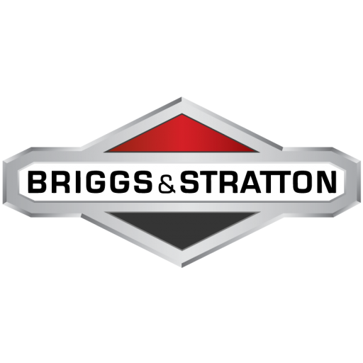 Biella Motori Briggs & Stratton 4 HP Tipo Vecchio da 100000 a 100200